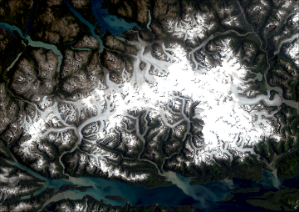 Satellite Image of Juneau Icefield
Credit: Landsat imagery courtesy of NASA Goddard Space Flight Center and U.S. Geological Survey